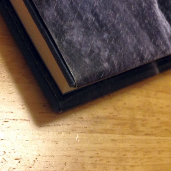 3 for $10 book sale! Storm Chasers Story, Storm Runners, middle grades level - Picture 5 of 5